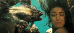 Piranha 3D